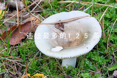 违法最多的125条 违法最多的125条