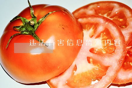 违法有害信息监测内容 违法有害信息监测内容