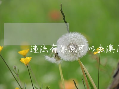 违法有案底可以去澳门吗