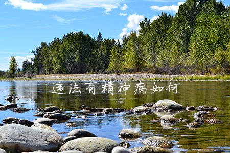 违法有精神病如何 违法有精神病如何