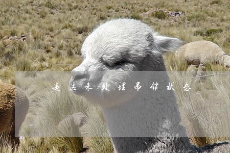违法未处理吊销状态 违法未处理吊销状态