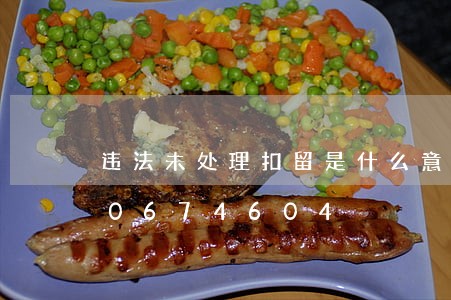 违法未处理扣留是什么意思/2023020674604
