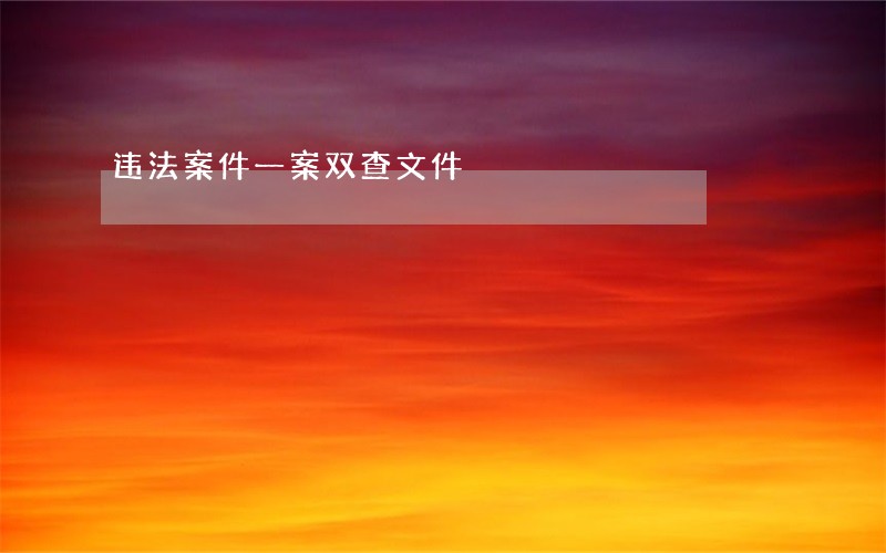 违法案件一案双查文件