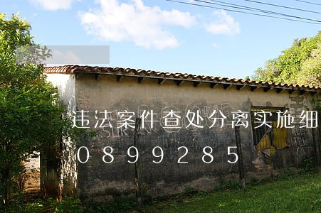 违法案件查处分离实施细则/2023020899285 违法案件查处分离实施细则/2023020899285