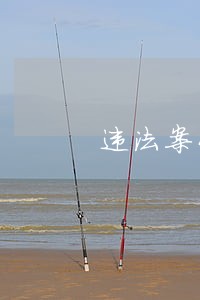 违法案件的追溯时间 违法案件的追溯时间