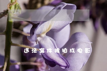 违法案件被拍成电影 违法案件被拍成电影