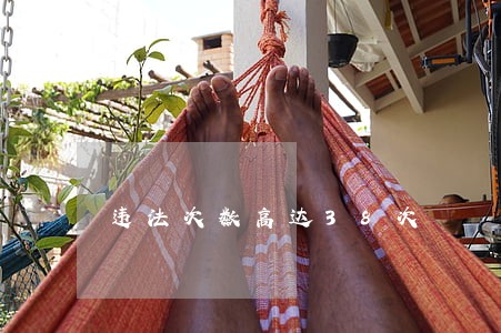 违法次数高达38次