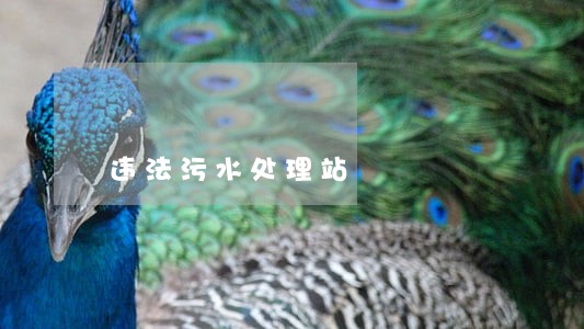 违法污水处理站 违法污水处理站