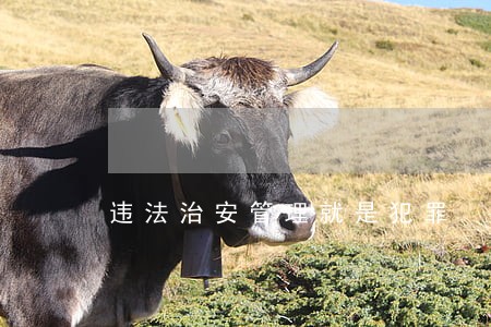 违法治安管理就是犯罪 违法治安管理就是犯罪