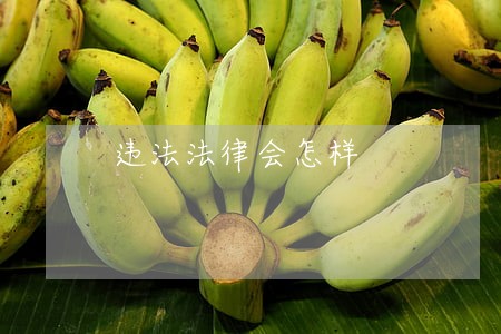 违法法律会怎样 违法法律会怎样