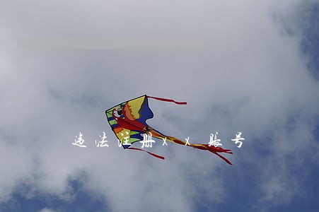 违法注册xx账号