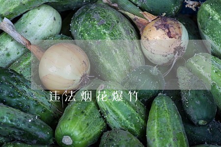 违法烟花爆竹