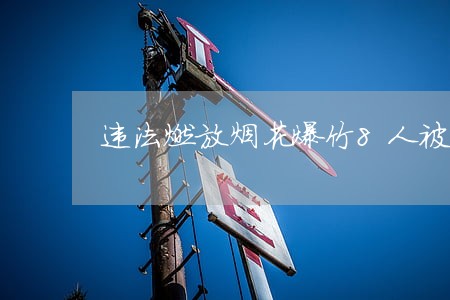 违法燃放烟花爆竹8人被行政拘留 违法燃放烟花爆竹8人被行政拘留