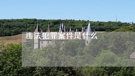 违法犯罪案件是什么