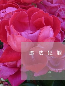 违法犯罪的成本太大 违法犯罪的成本太大