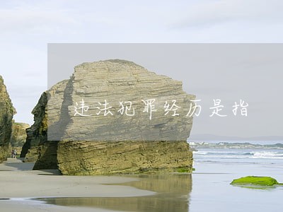 违法犯罪经历是指