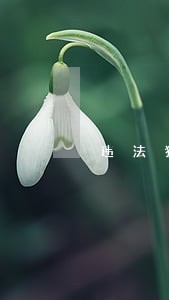 违法犯罪通告icon图标模板 违法犯罪通告icon图标模板