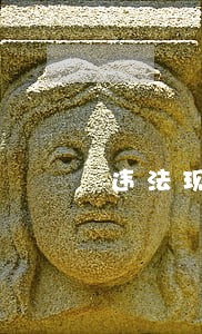 违法现象产生的原因