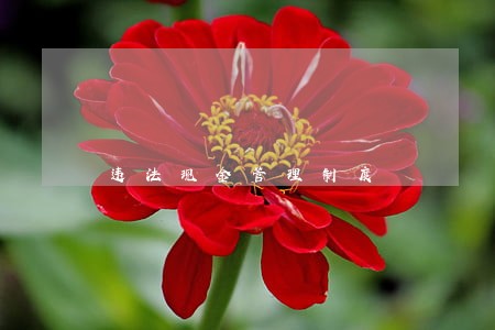 违法现金管理制度