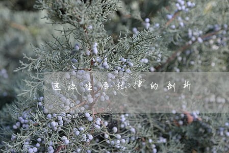 违法生活纪律的剖析 违法生活纪律的剖析