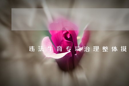 违法生育专项治理整体摸排情况 违法生育专项治理整体摸排情况