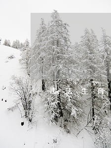 违法生育两个彻查专项活动简报 违法生育两个彻查专项活动简报