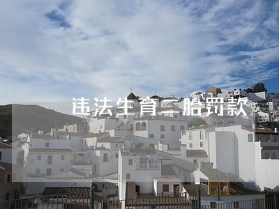 违法生育二胎罚款 违法生育二胎罚款