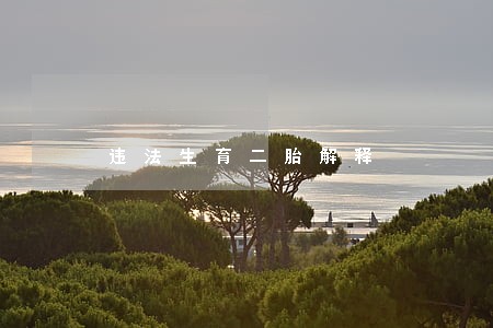 违法生育二胎解释 违法生育二胎解释