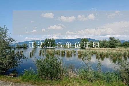 违法生育单位证明 违法生育单位证明