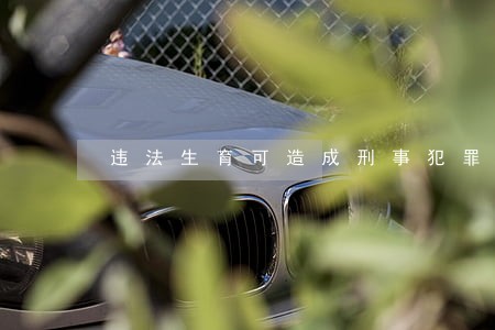 违法生育可造成刑事犯罪吗 违法生育可造成刑事犯罪吗