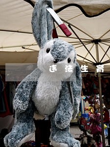 违法生育如何改进 违法生育如何改进