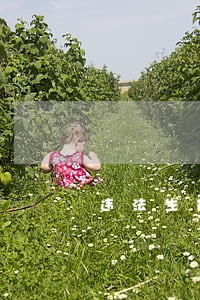 违法生育对象个案报告单 违法生育对象个案报告单