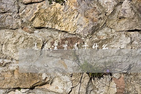 违法生育属于什么 违法生育属于什么