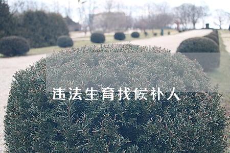 违法生育找候补人 违法生育找候补人