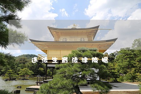 违法生育法律依据 违法生育法律依据