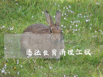 违法生育清理汇报