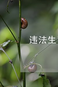 违法生育的孩子 违法生育的孩子