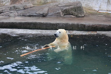 违法生育表态材料 违法生育表态材料