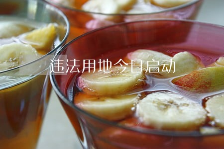 违法用地今日启动 违法用地今日启动