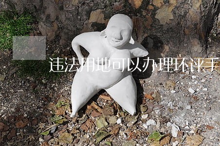 违法用地可以办理环评手续吗 违法用地可以办理环评手续吗