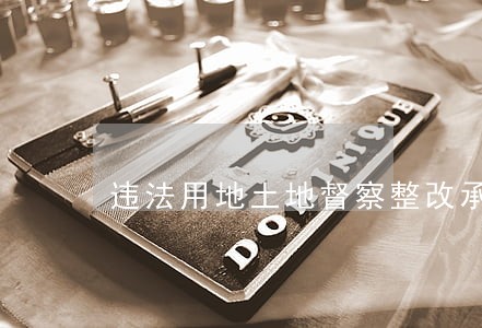 违法用地土地督察整改承诺书 违法用地土地督察整改承诺书