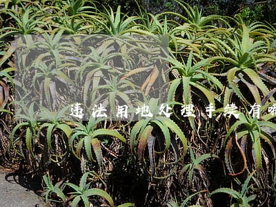 违法用地处理手续有哪些 违法用地处理手续有哪些