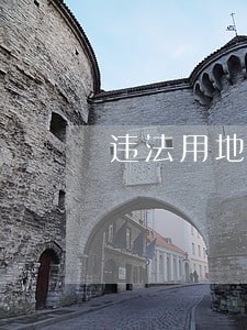 违法用地无处藏 违法用地无处藏