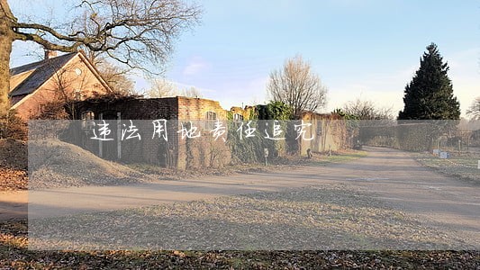 违法用地责任追究 违法用地责任追究