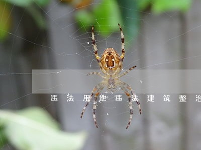 违法用地违法建筑整治总结 违法用地违法建筑整治总结