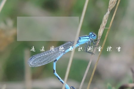 违法用地面积测量标书