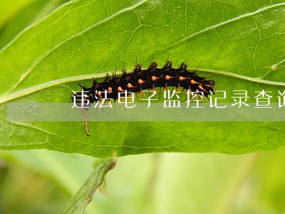 违法电子监控记录查询