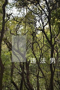 违法男子被行拘5日 违法男子被行拘5日