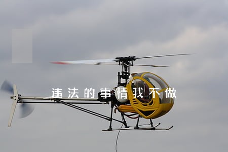 违法的事情我不做 违法的事情我不做