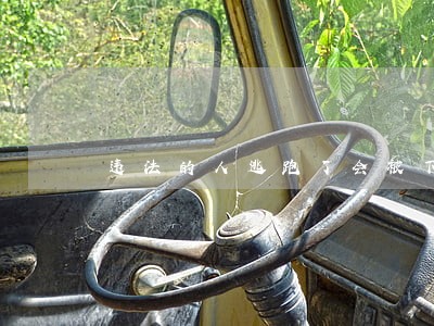违法的人逃跑了会被下通缉令吗
